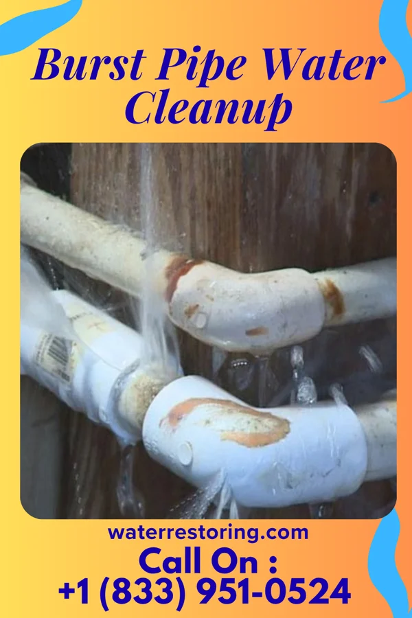 Burst Pipe Water Cleanup in Livonia, MI