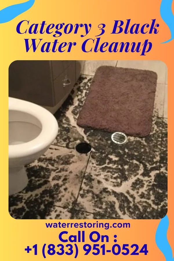 Category 3 Black Water Cleanup in Livonia, MI