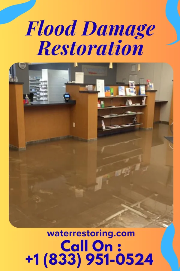 Flood Damage Restoration in Livonia, MI