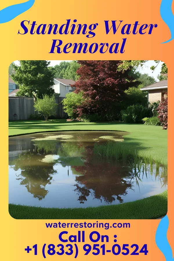 Standing Water Removal in Livonia, MI